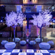 backlit trees and furniture in darklit industrial room