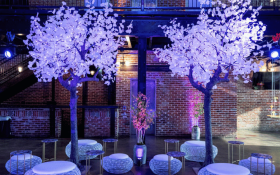 backlit trees and furniture in darklit industrial room